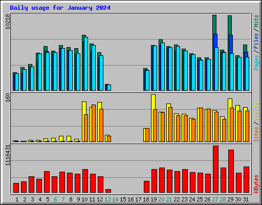 Daily usage for January 2024