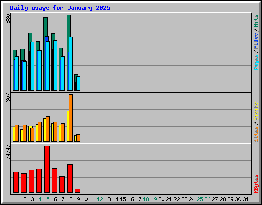 Daily usage for January 2025