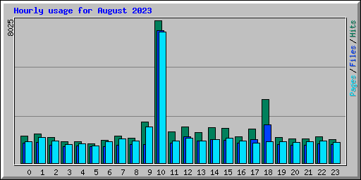 Hourly usage for August 2023