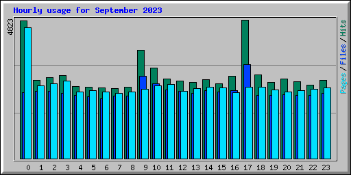 Hourly usage for September 2023