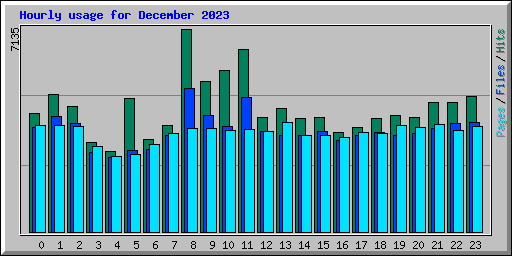 Hourly usage for December 2023