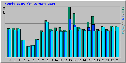 Hourly usage for January 2024