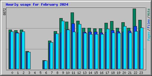 Hourly usage for February 2024