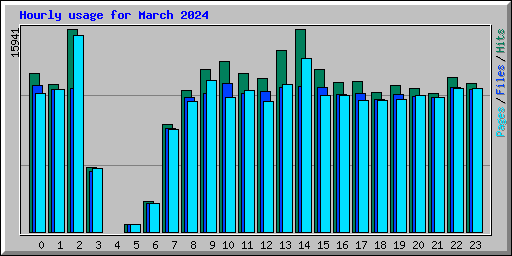 Hourly usage for March 2024