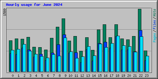 Hourly usage for June 2024