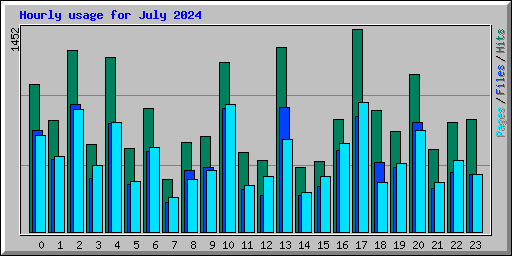 Hourly usage for July 2024