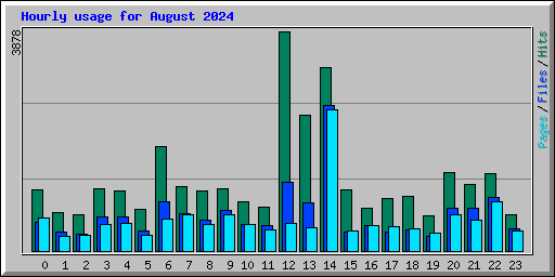 Hourly usage for August 2024