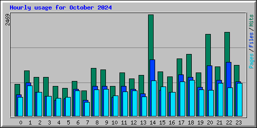 Hourly usage for October 2024