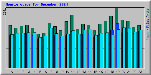 Hourly usage for December 2024