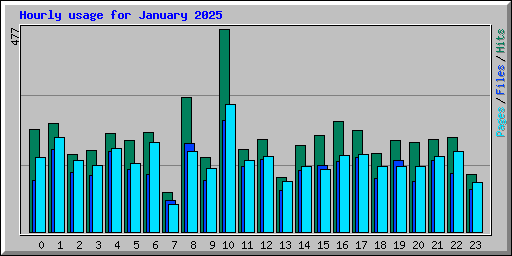 Hourly usage for January 2025