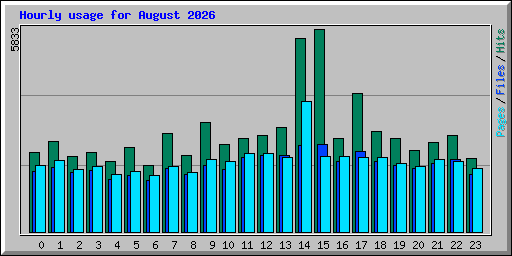 Hourly usage for August 2026